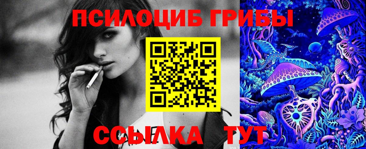 Псилоцибиновые грибы MAGIC MUSHROOMS  дарнет шоп  Евпатория  Вход с VPN  Галлюциногенные грибы мицелий 